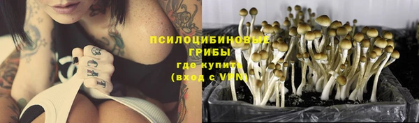 apvp Балахна