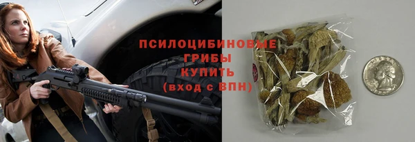 PSILOCYBIN Балабаново