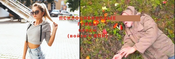 гашик Баксан
