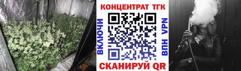 ТГК концентрат купить блэк спрут Болгар