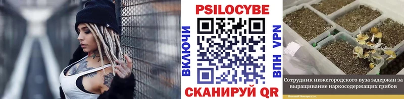 ОМГ ОМГ сайт  Болгар  Псилоцибиновые грибы GOLDEN TEACHER 